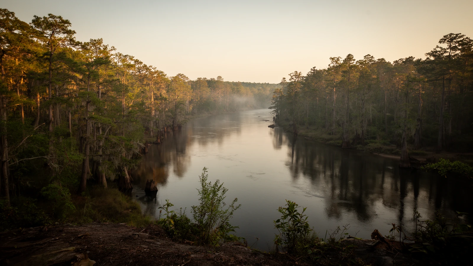 The Roanoke River at Rainbow Bluff, Martin County, North Carolina